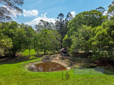 2046 Coolamon Scenic Drive, Mullumbimby