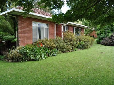 4251 Omeo Highway, Eskdale
