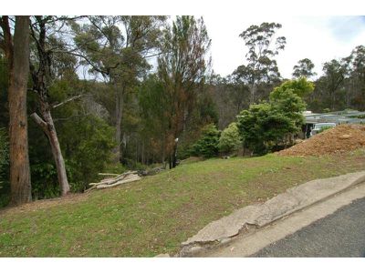 7 Bellbird Court, Eden