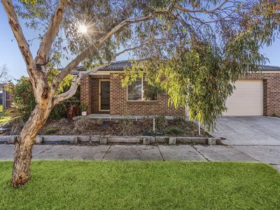 12 Adair Court, Marshall
