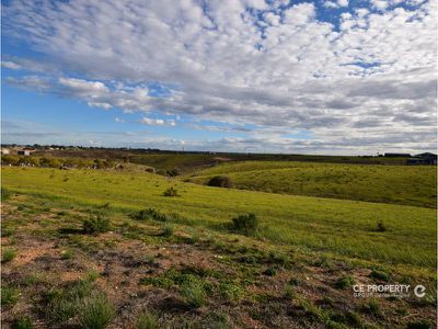 Lot 25, Shearer Heights Road, Mannum