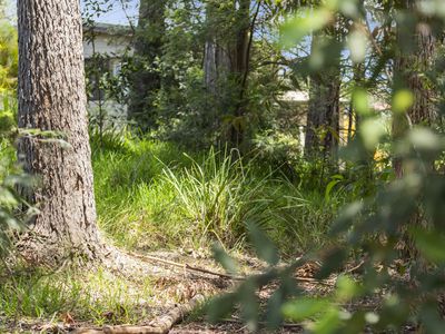 55 Leo Drive, Narrawallee