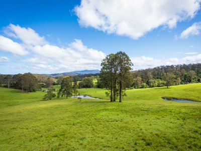 272 Riverview Road, North Narooma