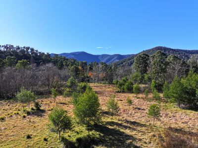 Lot 4 Araluen Road, Araluen