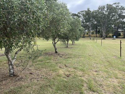 56 Hoares Road, Tingoora