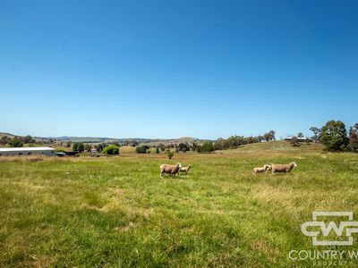 8 Elm Street, Guyra