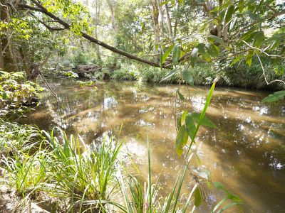 Mareeba