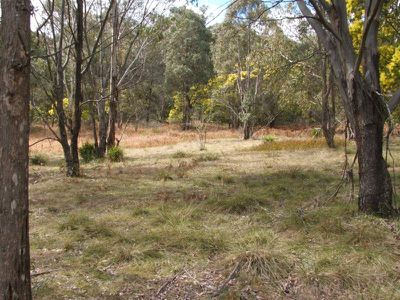 Lot 6 Nicholson Road, Kingsgate