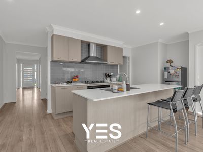 11 Nigella Street, Clyde