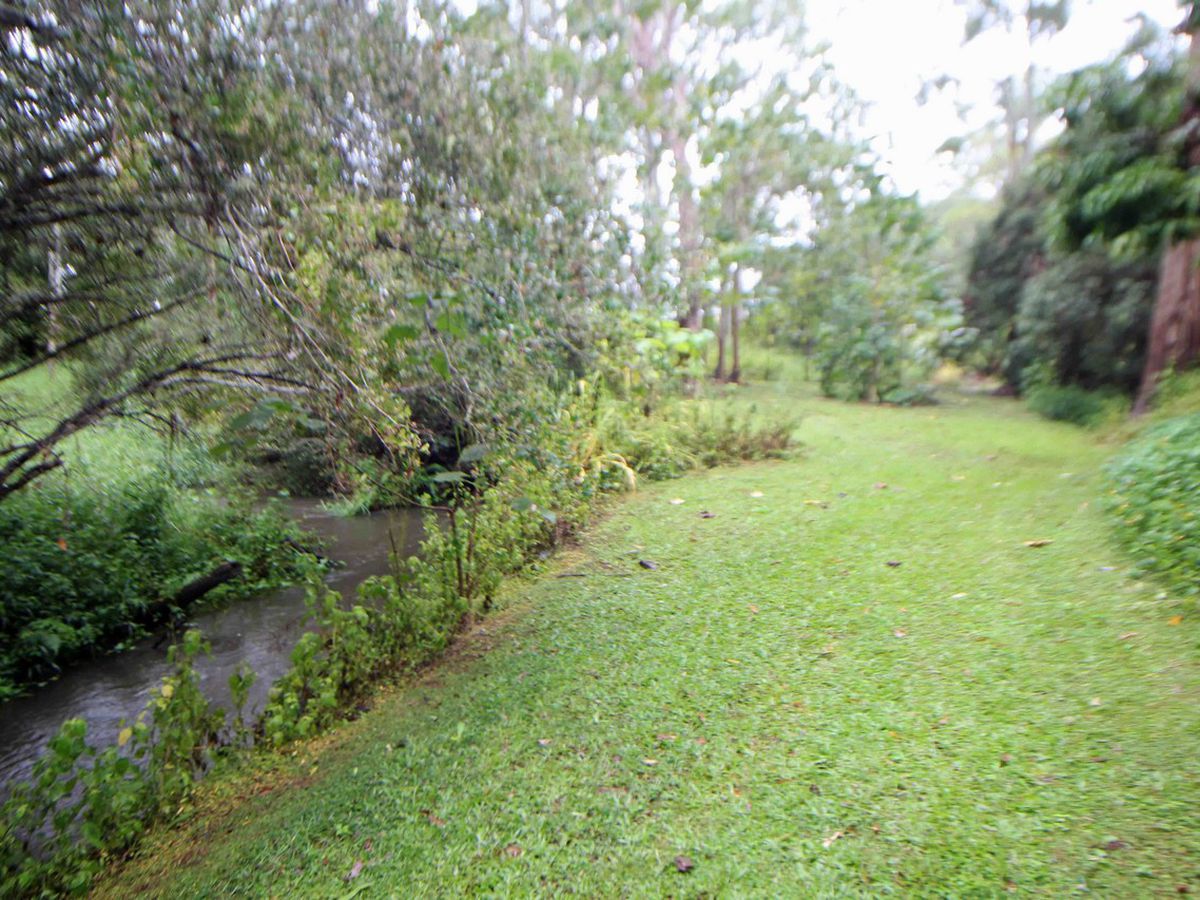 Ravenshoe