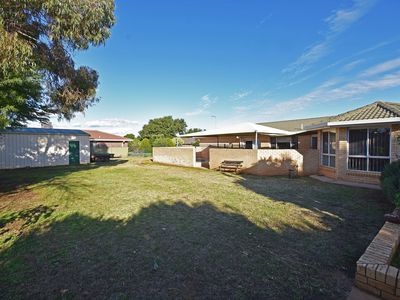 Dubbo