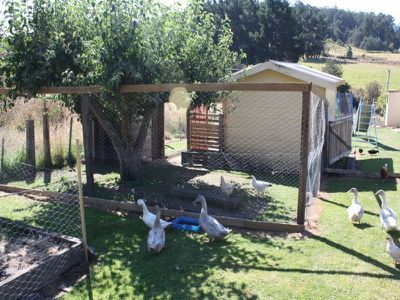 101 Kermandie River Road, Geeveston