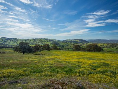 643 Huon Creek Road, Wodonga