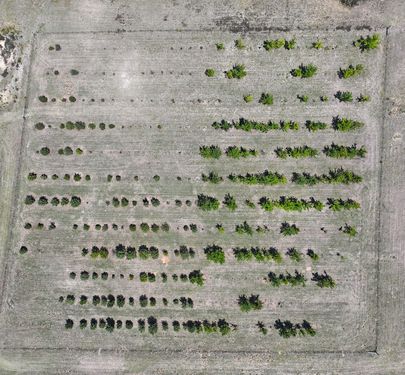 760 Wallaces Gap Road, Braidwood