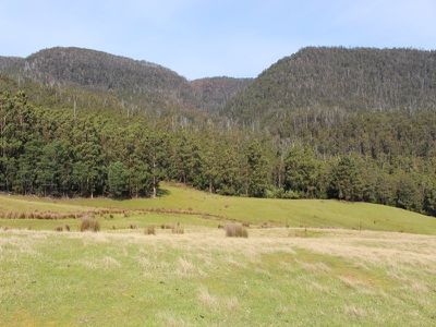 Lot 4, 100 Crosswells Road, Pelverata