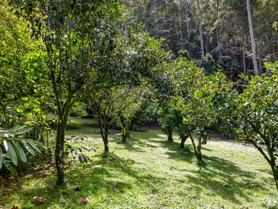 476 WALLACE ROAD, Terania Creek