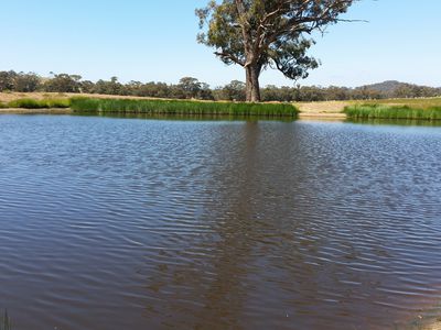 78 Cherry Tree Road, Nagambie