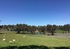 183 Sullivans Road, Manildra