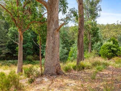 52 Braeside Road, Franklin