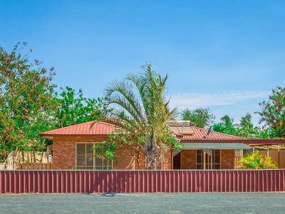 20 Curlew Crescent, South Hedland