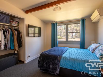 954 Bullock Mountain Road, Glen Innes