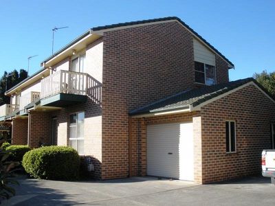 Blackbutt