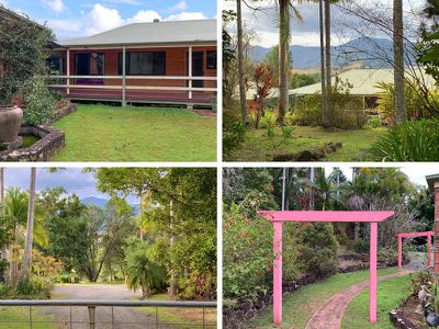 52 Falls Road, Nimbin
