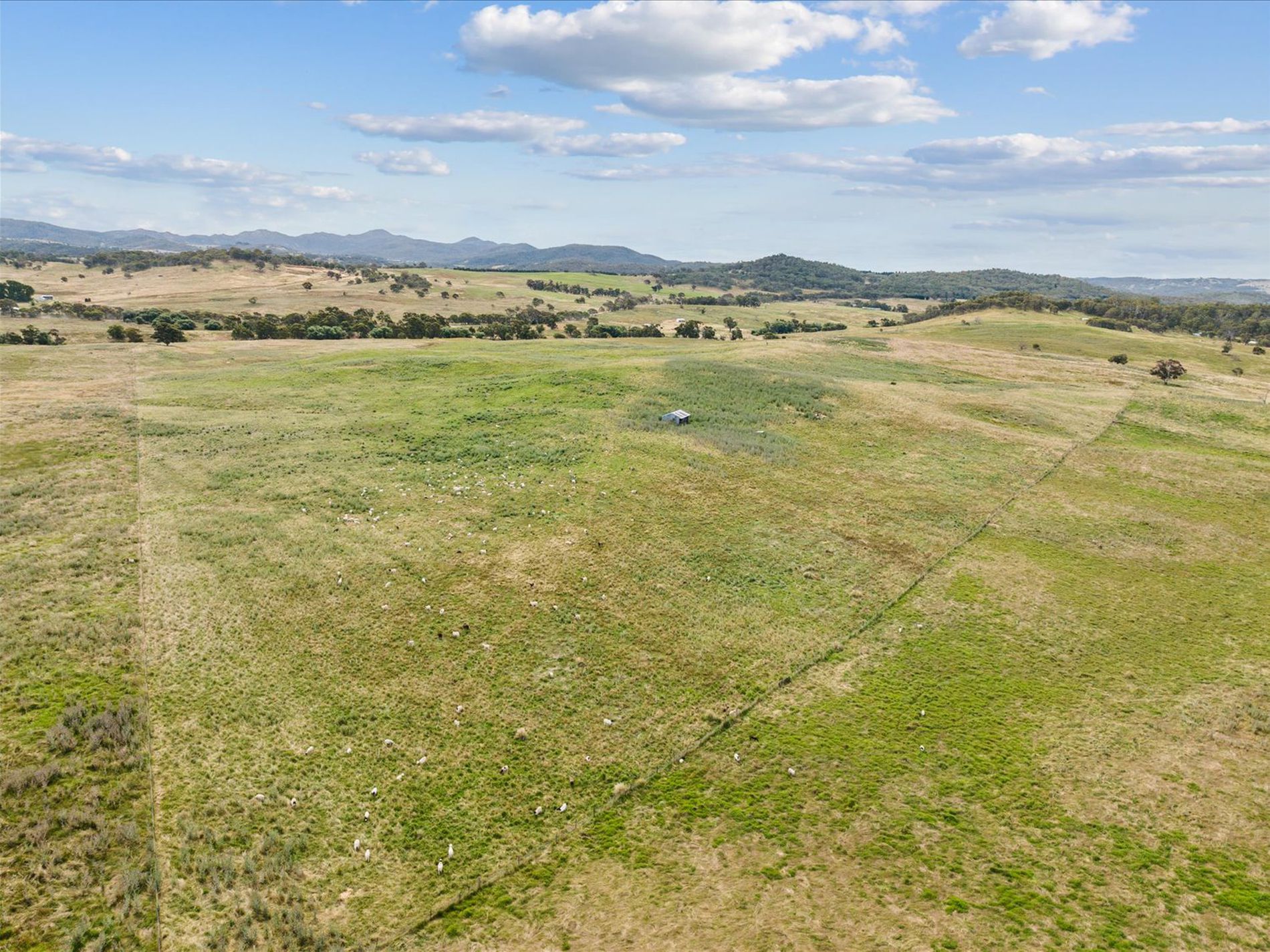 4436 Jerangle Road, Captains Flat