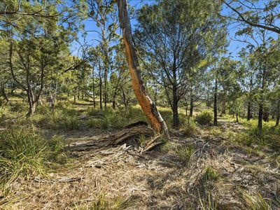 3 Fynbos Court, Primrose Sands