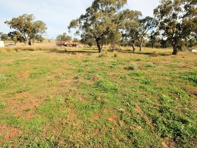 Lot 127, Lot Hall Road , Merriwa