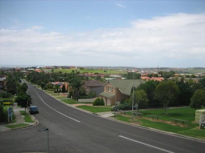 Blackbutt