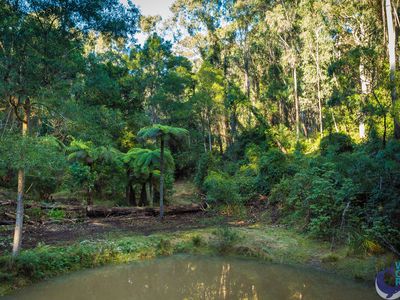 100 Hobbs Point Road, Narooma