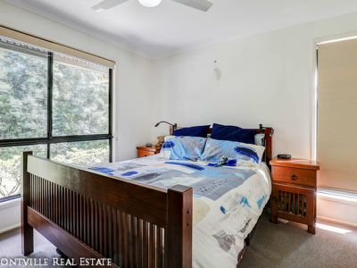 43 Maroochy Spring Dr, Dulong