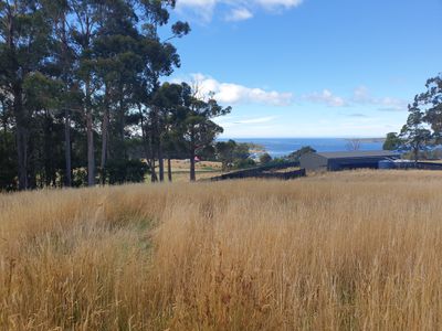 Lots 1 & 3 Plummers Road, Southport