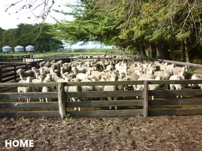 581 Mount Hope Road, Millicent