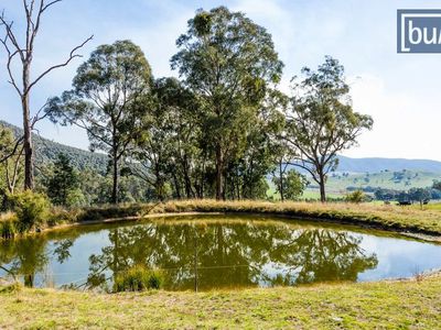 473 Switchback Road, Mudgegonga