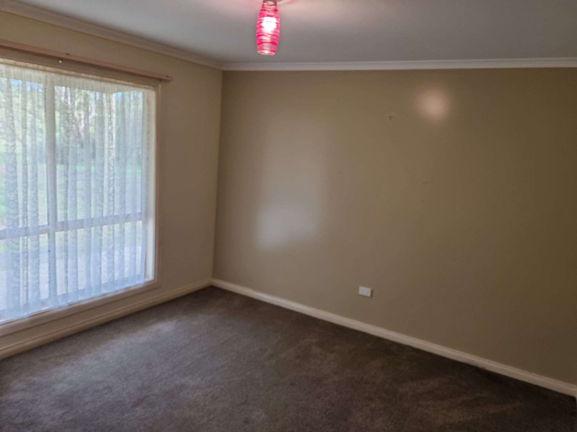 116 Hakea Drive, Millicent