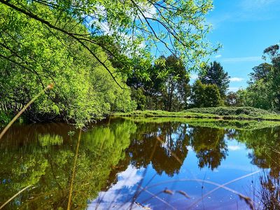 2542 Mansfield Whitfield Road, Tolmie