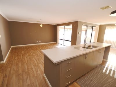 9 Astroloma Drive, Success