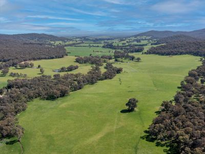 1129 Moyhu-Meadow Creek Road, Meadow Creek