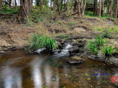 961 Comboyne Road, Byabarra