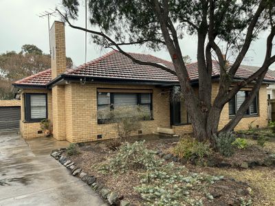 13 Gladstone Street, Hamlyn Heights