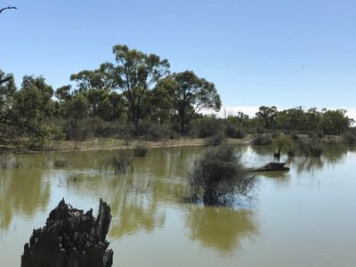 39 / Melacele Green Hills Lane, Barham