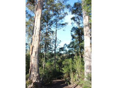 Block At Sandhill Road, Cradoc
