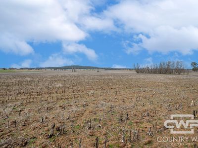 Lot Plain View South, 916 Emmaville Road, Glen Innes