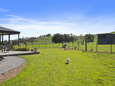 255 Mt Battery Road, Mansfield