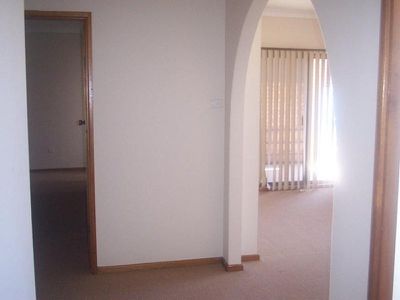 Mount Warrigal