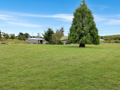 15 Sinclair Avenue, Nightcaps