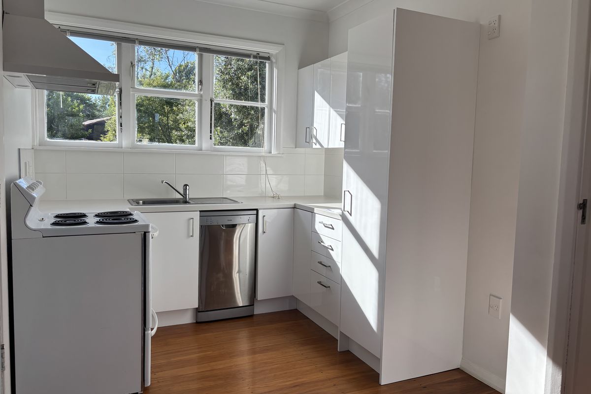 12 Kitchener Place, Opawa