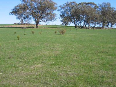 LOT 1 O'BRIENS COURT, Heathcote